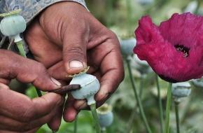 What do you need to know about Illegal Drugs