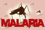 World Malaria Report 2015